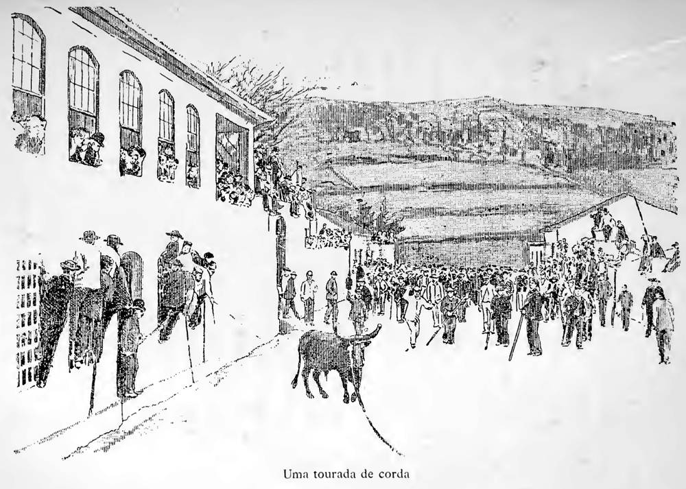 Gravura de 1894: «Uma tourada de corda». Numa rua de aldeia, o toiro avança com uma corda atada às pontas; o povo olha das janelas e dos muros e os homens da corda seguem-no com varas.